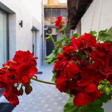 Ferhadija 31 Old Town Maison d'hôtes Sarajevo