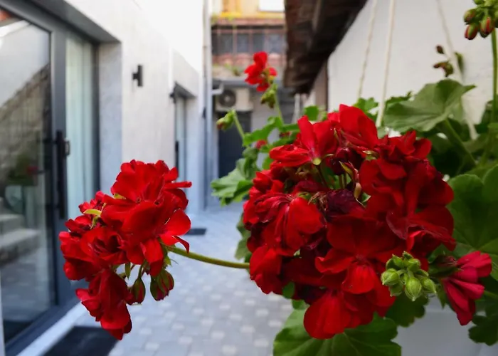 Ferhadija 31 Old Town ゲストハウス サラエヴォ